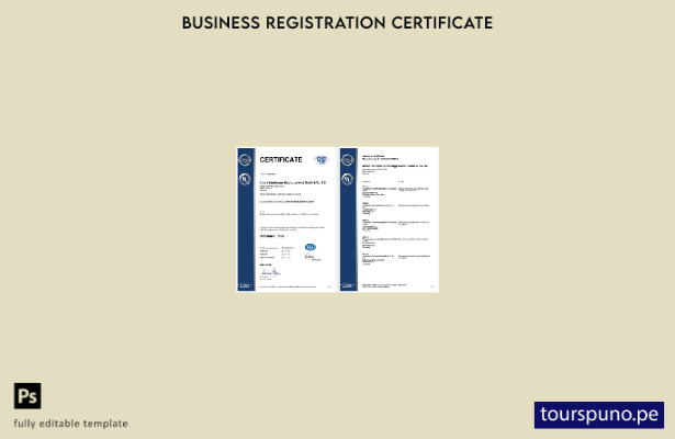 listo para imprimir Certificado de registro DQS de Alemania Plantilla de plantil
